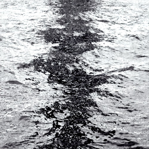 Dark Reflections | Prints by House of Bliss