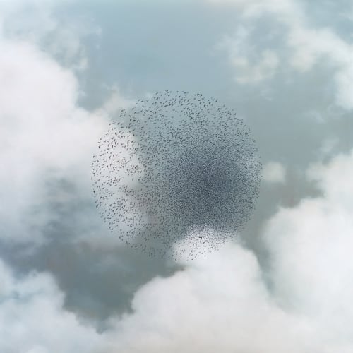 Convergence | Paintings by Ashley Eliza Williams | Le Méridien Denver Downtown in Denver