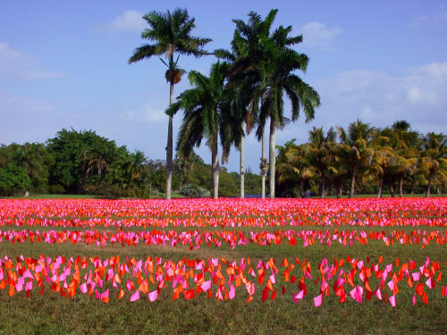 Luminous Gardens | Art & Wall Decor by Patricia Van Dalen | Fairchild Tropical Botanic Garden, Coral Gables, FL in Coral Gables