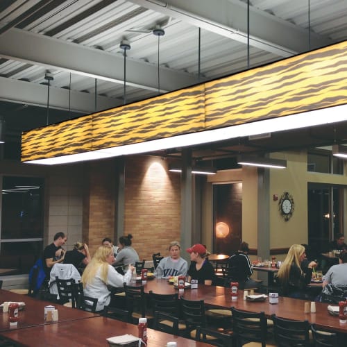 Tiger Shade Pendant | Pendants by ILEX Architectural Lighting | University of Missouri in Columbia