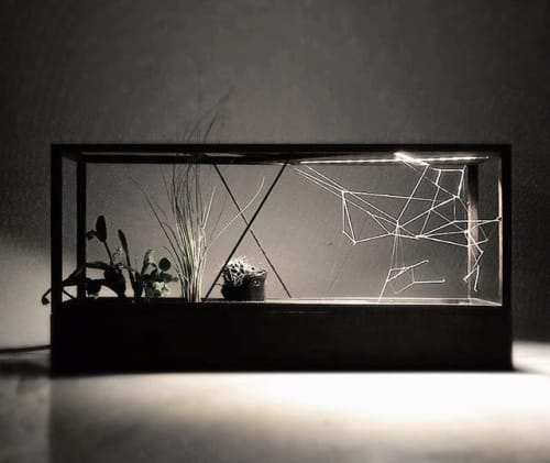 The Mad Scientist Terrarium | Plants & Flowers by Plant-In City | Plant-in City Studio NYC in Brooklyn