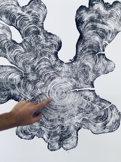 Florida Cypress | Prints by Erik Linton