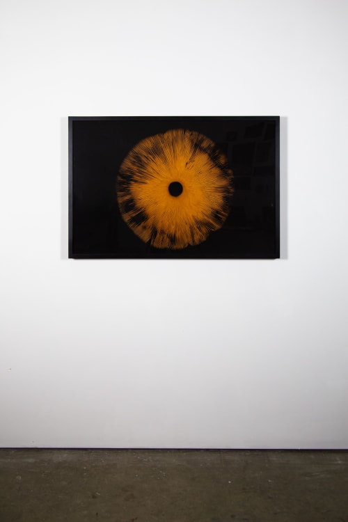 Agaricales Series | Prints by Virginia Kistler