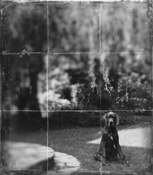 THE WILLOWS | Photography by Pam Moxley Mixed Media | Marietta Square in Marietta