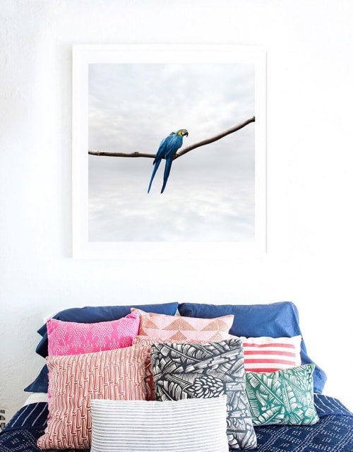 Pondering Parrots | Photography by Alice Zilberberg