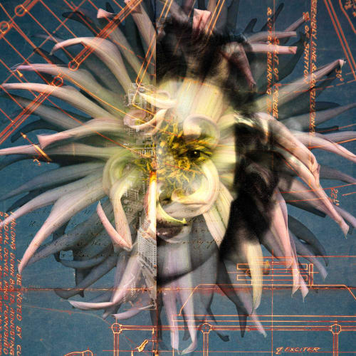 Medusa | Collage in Paintings by Stephen Sheffield Photography, Collage & Design
