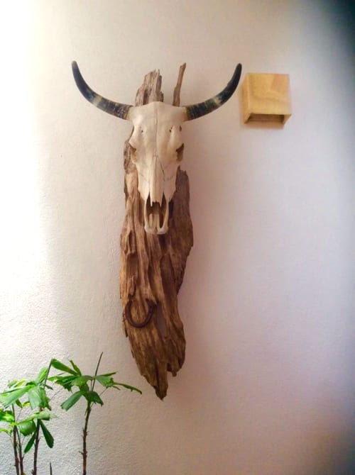 Toro (Wall Sculpture) | Wall Hangings by Jane Maroni Organic Design | Hotel Cielo Rojo in San Francisco