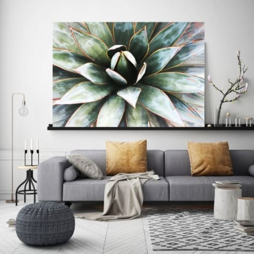 Succulent Art | Paintings by Irena Orlov