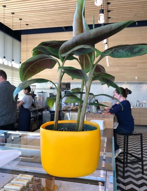 Cuadrado Grand Vessel | Vases & Vessels by Tina Frey | Noon All Day in San Francisco