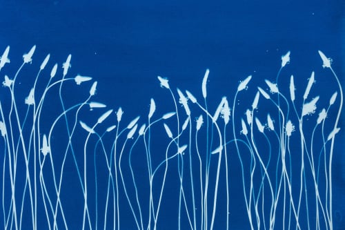 Spring Wild Flowers (16 x 24" Original Cyanotype on Paper) | Prints in Paintings by Christine So