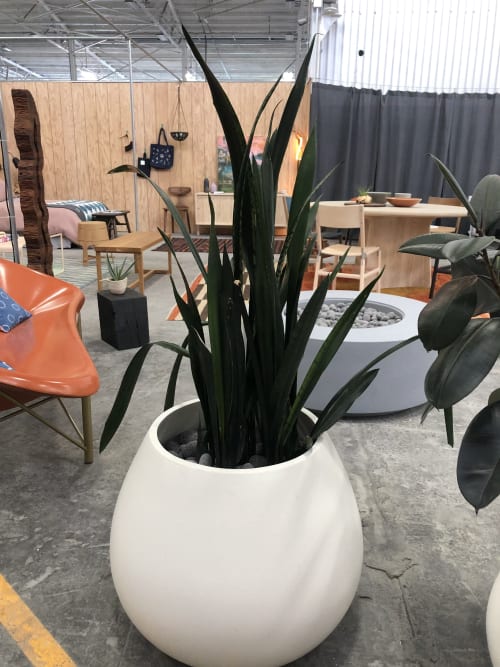 Miles Planter | Plants & Landscape by Concreteworks | Bay Area Made x Wescover 2019 Design Showcase in Alameda