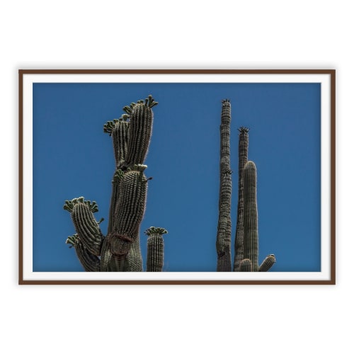 JUNO | Minimalist Wall Art | Southwest | Fine Art Print | Photography by Jess Ansik