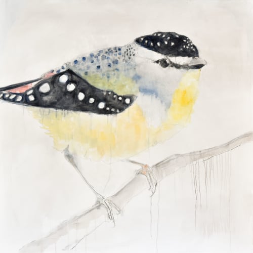 Pardalote | Paintings by Lee Cline