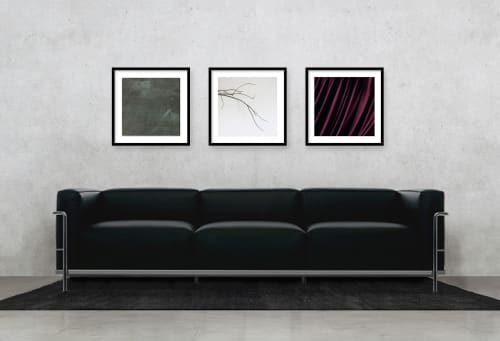 Abstract Photography Series from Nature | Photography by Scott Woodward Meyers Art