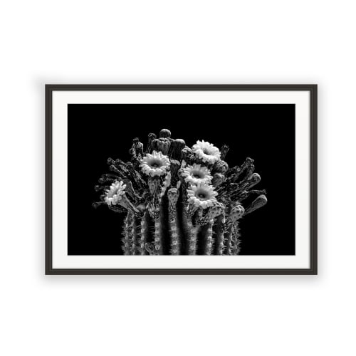 FLORAL CROWN︱B&W︱Minimalist Wall Art︱Southwest Photography | Photography by Jess Ansik
