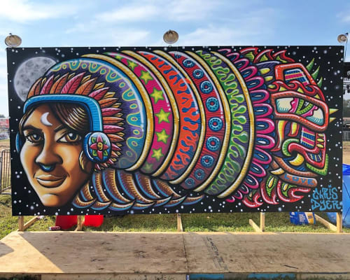 Resonance Fest Mural | Street Murals by Chris Dyer | Cooper's Lake Campground in Slippery Rock