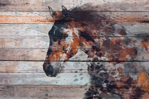Fire Horse | Paintings by Irena Orlov