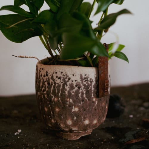 Obvara fired planter | Vases & Vessels by Meiklejohn Ceramics