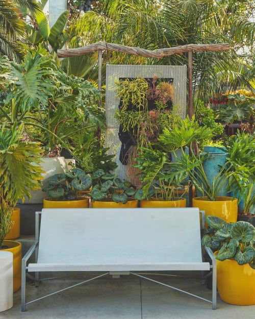Evia Lounge | Chairs by Galanter & Jones | Flora Grubb Gardens in San Francisco
