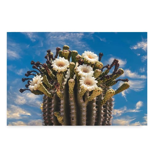 TALK OF THE TOWN | Whimsical Nature Print | Wall Art | Photography by Jess Ansik