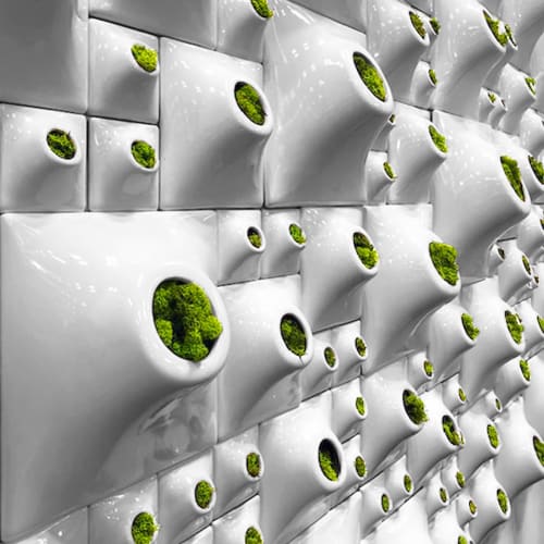 Modern Moss Wall Greenwall - Node Wall Planter | Plants & Landscape by Pandemic Design Studio