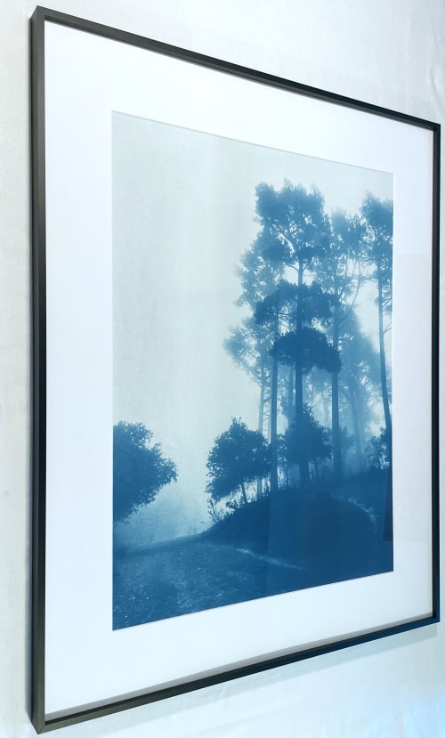 Caminante No Hay Camino: 16x12" original cyanotype | Photography by Christine So