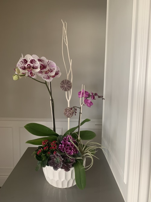 Stylish orchid arrangements | Floral Arrangements by Fleurina Designs