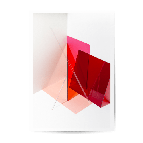 Chroma Morphose No. 6987 | Photography by Cristina Matos-Albers