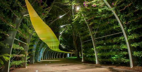 South Bank Parklands Project | Lighting Design by Rodrigo Roveratti | South Bank Parklands in South Brisbane