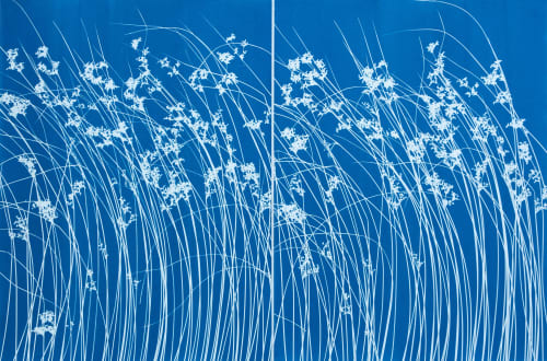Late Summer Wild Grass Diptych (two 24 x 18" cyanotypes) | Etching in Paintings by Christine So