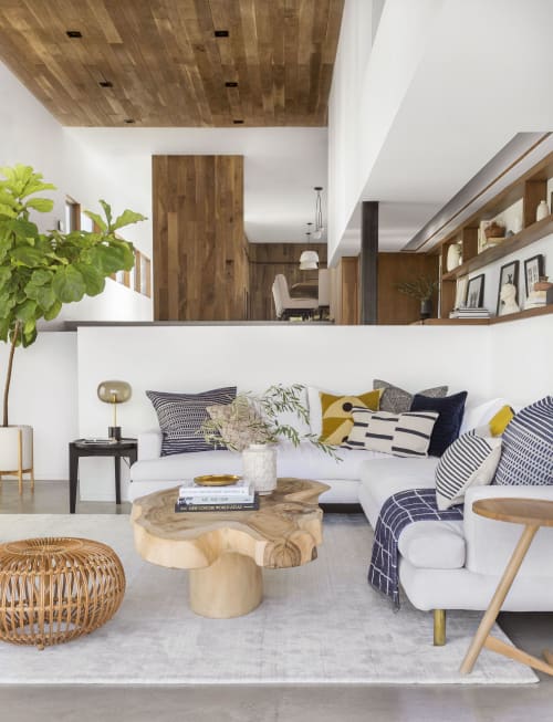 Modern Organic Living Room | Interior Design by Brady Tolbert