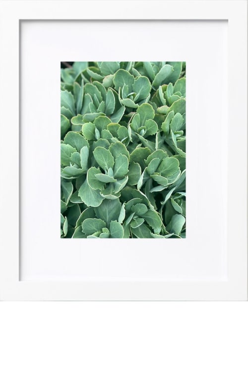 Grow Organically | Photography by KNOF design