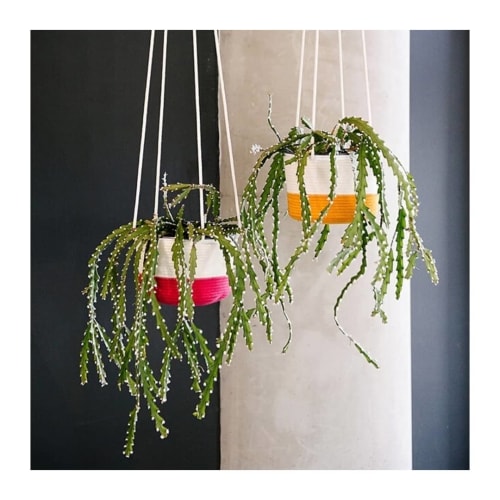 Hanging Planter | Wall Hangings by Mia Mélange | Opus Botanical Florist in Cape Town