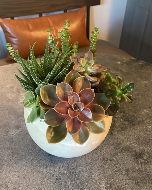 Fresh Succulent Arrangement | Floral Arrangements by Fleurina Designs