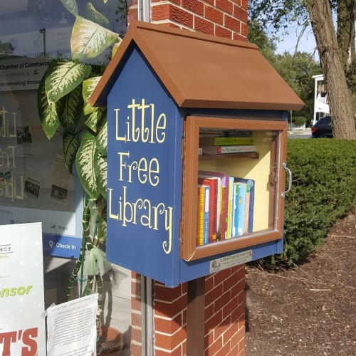 Little Free Library | Murals by Jennifer Higgins