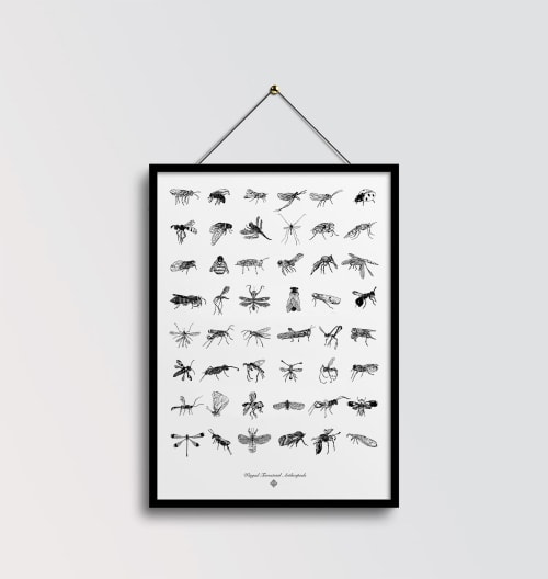 Terrestrial Arthropods | Wall Hangings by Chrysa Koukoura