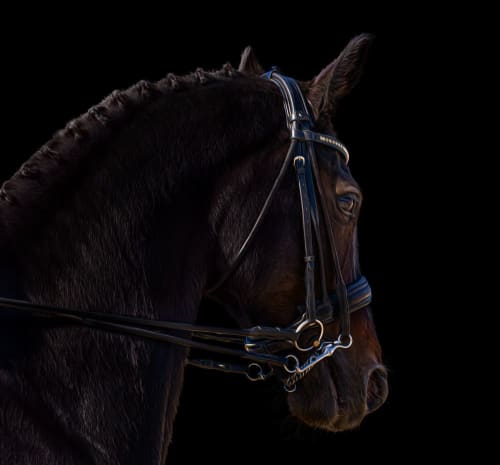 Waiting My Turn | Photography by Judy Reinford