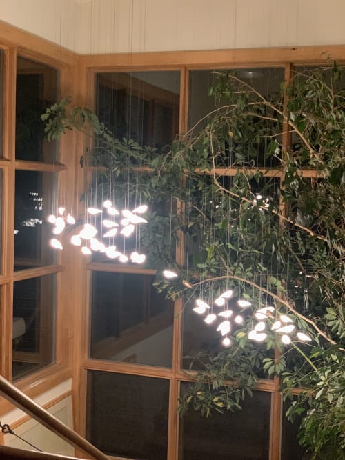 Birdies in Aspen | Chandeliers by Beau&Bien