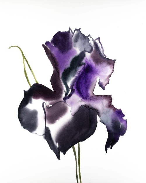 Iris No. 78 : Original Watercolor Painting | Paintings by Elizabeth Becker