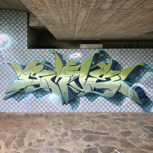 Graffiti | Street Murals by SMOE NOVA