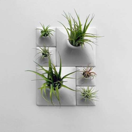 Modern Ceramic Wall Planter Set - Living Wall Art - Node | Plant Hanger in Plants & Landscape by Pandemic Design Studio