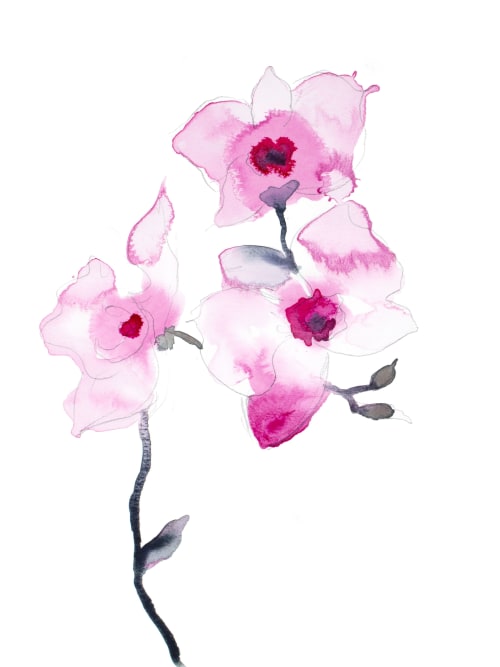 Orchid No. 20 | Watercolor Painting in Paintings by Elizabeth Becker