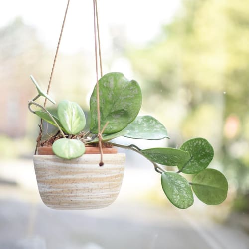 Hanging Swirl Pot | Vases & Vessels by Lauren Natasha of fromtreetosea | And Their Plant Stories in Seattle