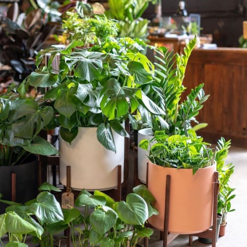 Revival Ceramics Planters | Vases & Vessels by LBE Design | ReRoot in Denver