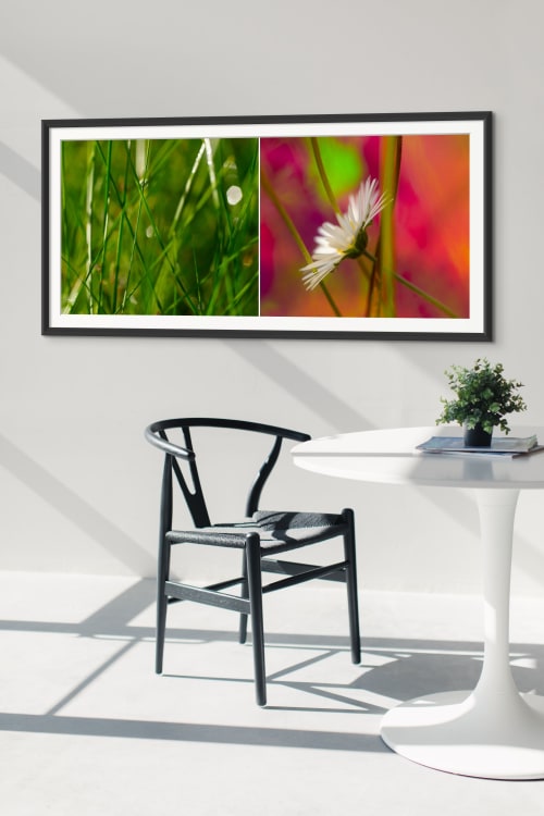 Diptych, Grasses and Marguerite Daisy #5760 | Photography by Caroyl La Barge›
