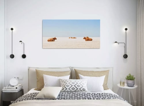 "SUNBATHING COWS" | Prints by ANDREW LEVER