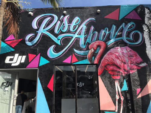 Rise Above | Murals by Rudy Mage | DJI Wynwood in Miami