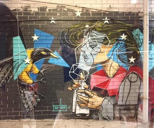 Freedom? | Street Murals by M-Lon | 561-563 Sydney Rd in Seaforth
