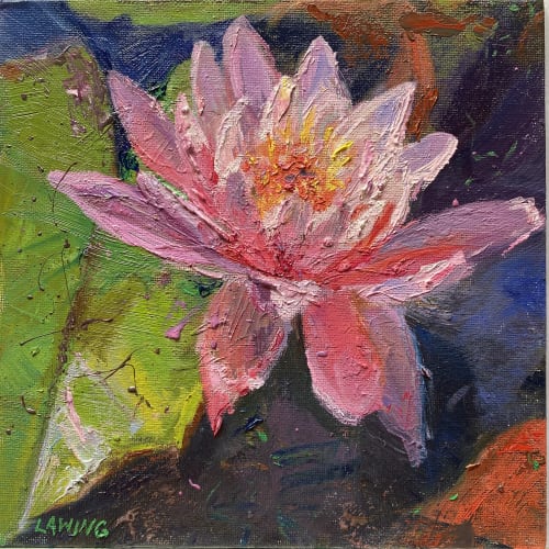Pink Water Lily | Paintings by Julia Lawing Fine Art