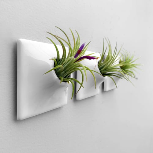 Modern Ceramic Wall Planter - Plant Wall Art - Node 3" | Living Wall in Plants & Landscape by Pandemic Design Studio